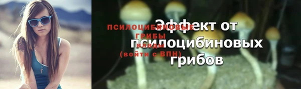 гашиш Белокуриха