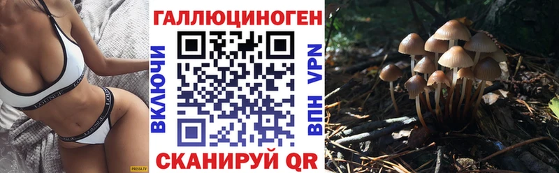 как найти   Навашино  Галлюциногенные грибы ЛСД 